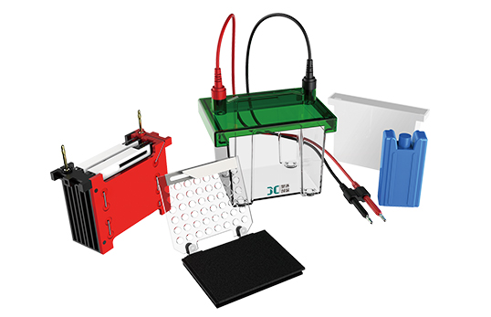 JC-ZY02型迷你轉移電泳槽